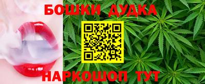 прущие крисы Новодвинск