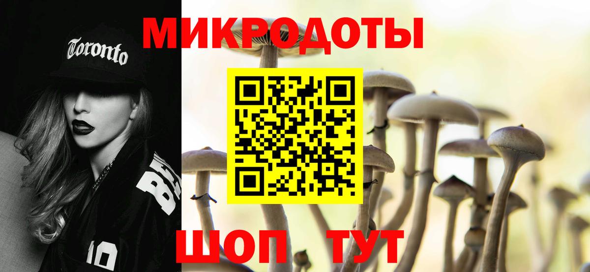 Псилоцибиновые грибы прущие грибы Усть-Джегута