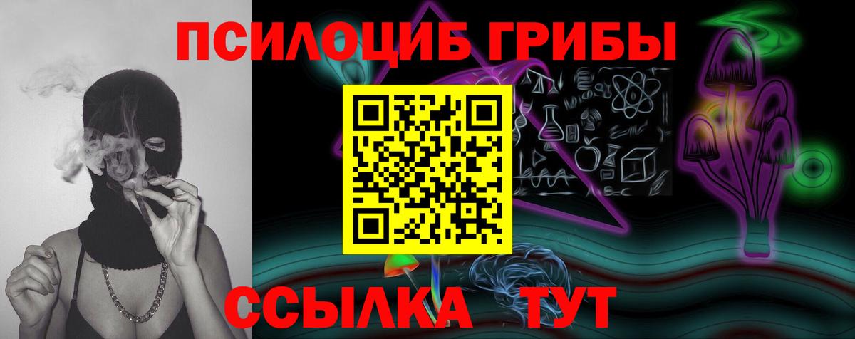 Псилоцибиновые грибы Psilocybe  Галлюциногенные грибы прущие грибы  Вход с VPN  Усть-Джегута 