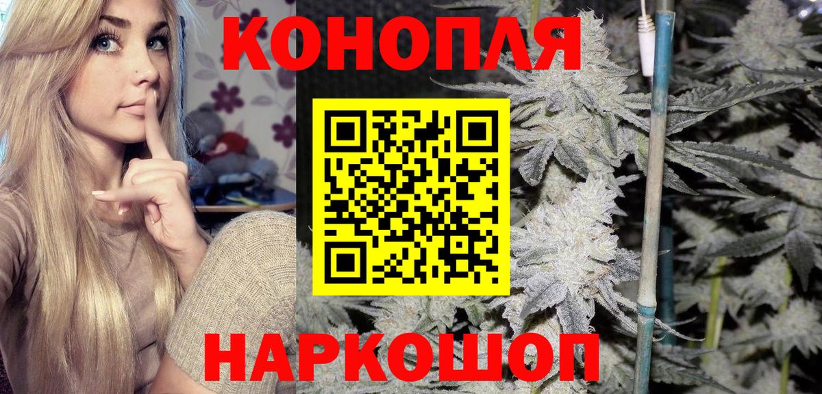 Бошки марихуана план  Вход с VPN  Шишки марихуана LSD WEED  Канабис гибрид  Марихуана SATIVA & INDICA  Усть-Джегута 